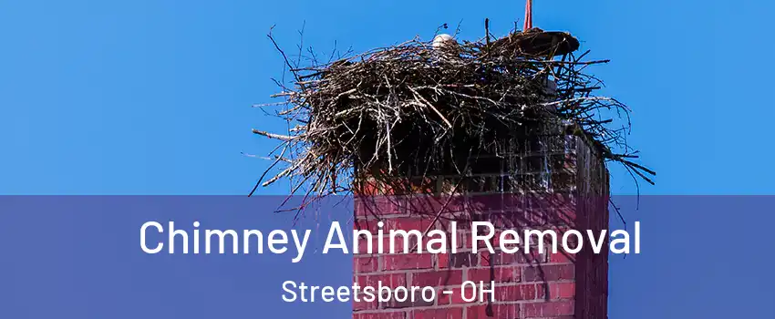 Chimney Animal Removal Streetsboro - OH