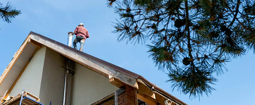 Birds Removal Contractors from Chimney in Streetsboro, OH