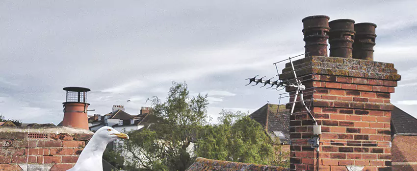 Chimney Cleaning And Restoration in Streetsboro, Ohio